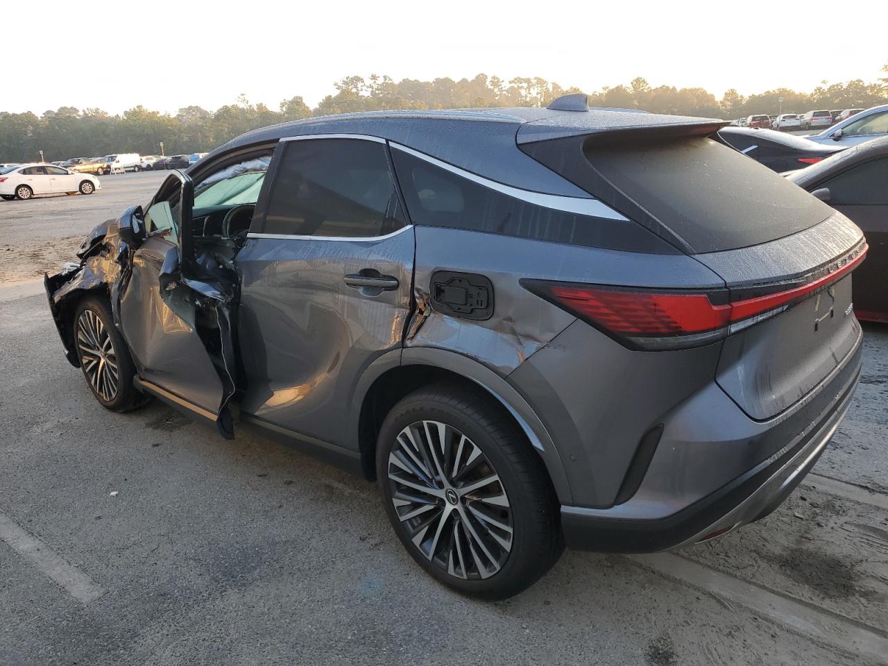 2023 Lexus RX - Image 2