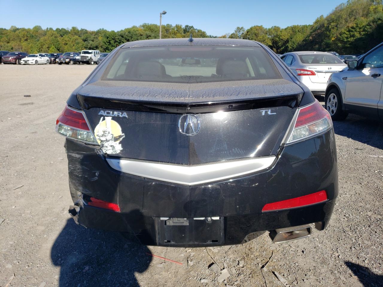 2010 Acura Tl VIN: 19UUA8F51AA009657 Lot: 75258614