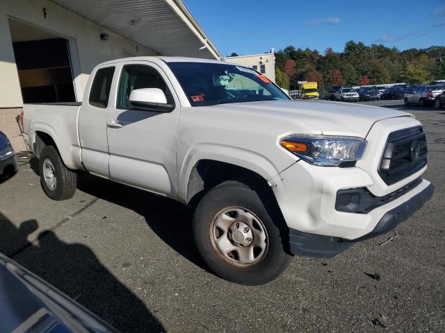  TOYOTA TACOMA 2021 Белы