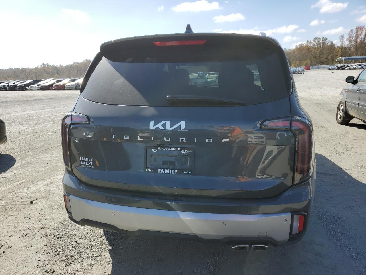 2024 Kia Telluride Ex VIN: 5XYP34GC2RG425904 Lot: 78142484