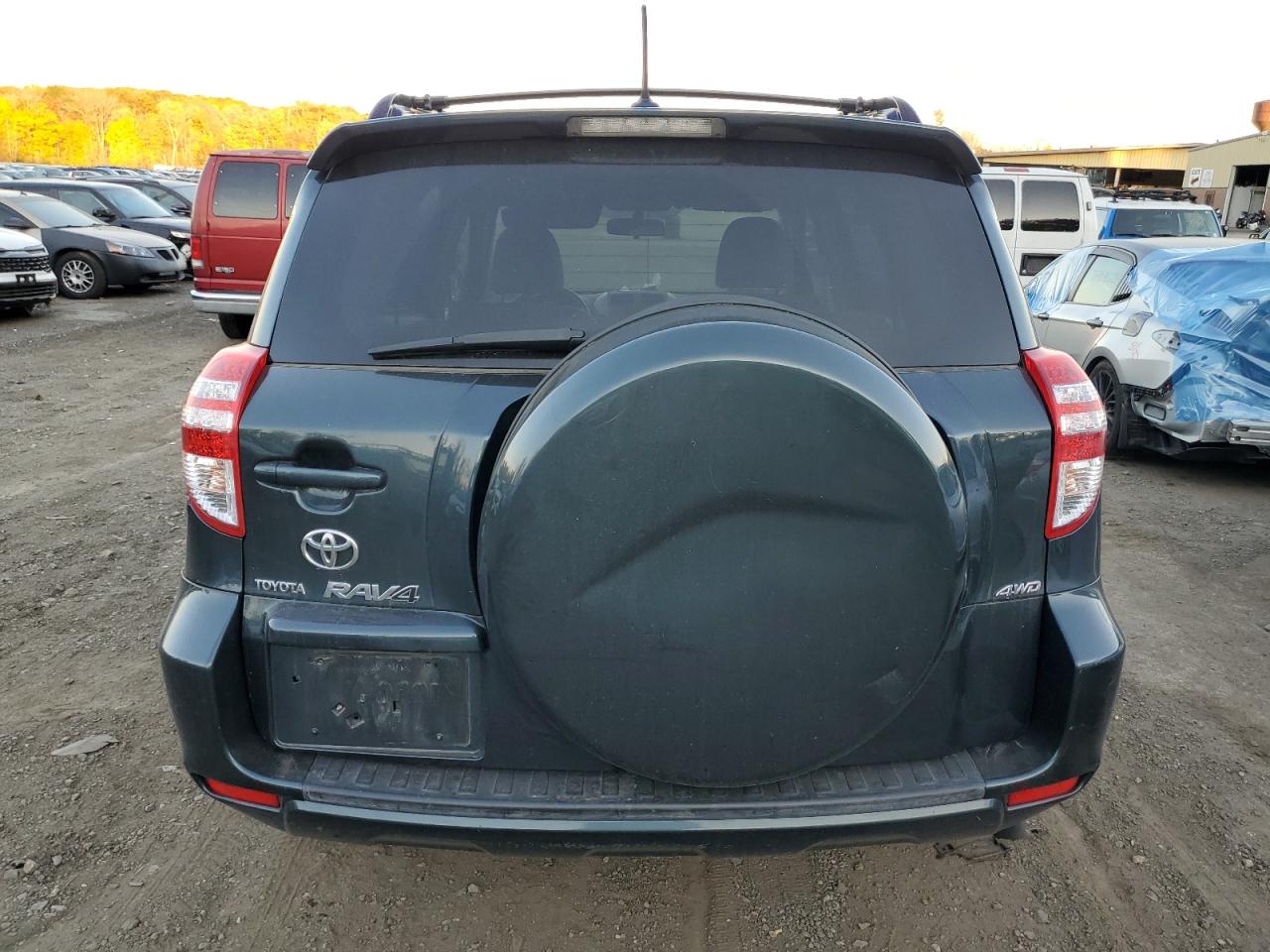 2009 Toyota Rav4 VIN: JTMBK33VX9D001299 Lot: 77171234