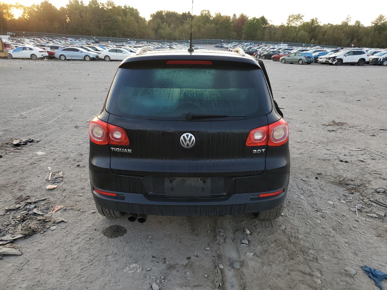 2011 Volkswagen Tiguan S VIN: WVGAV7AX8BW534255 Lot: 74185434