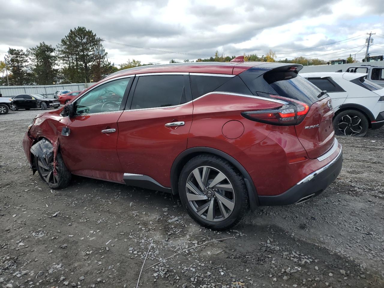 2020 Nissan Murano Platinum VIN: 5N1AZ2DS7LN128059 Lot: 75496484