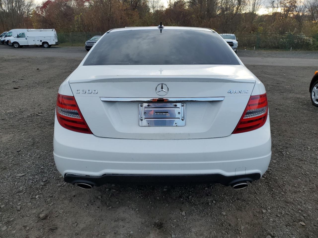 2014 Mercedes-Benz C 300 4Matic VIN: WDDGF8AB0ER313652 Lot: 78925684