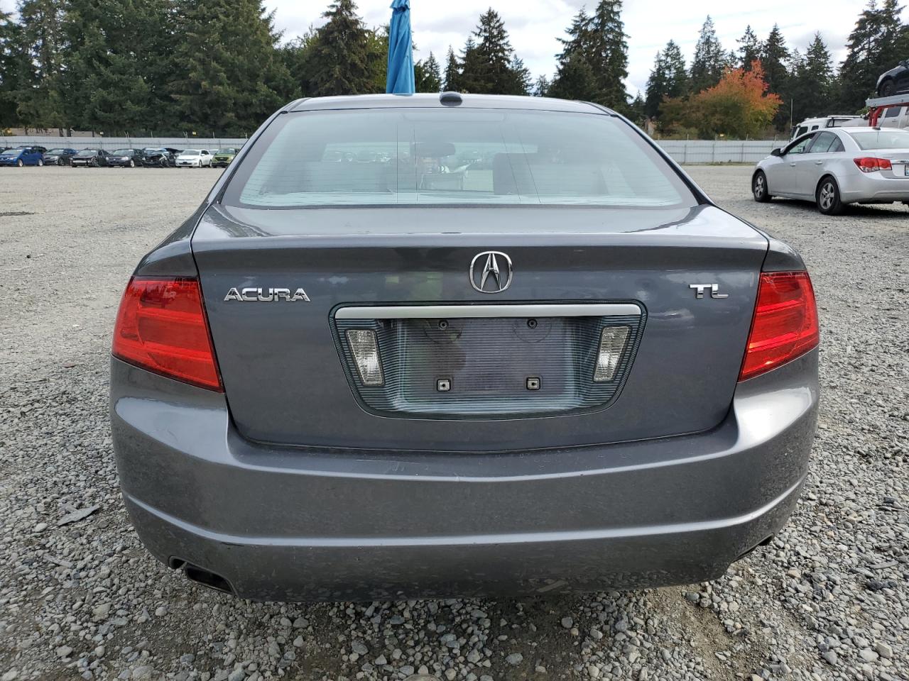 2004 Acura Tl VIN: 19UUA66294A053386 Lot: 75562954