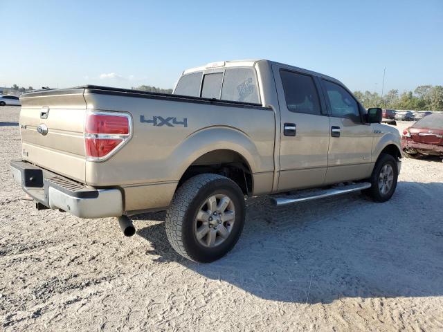  FORD F-150 2014 Золотий