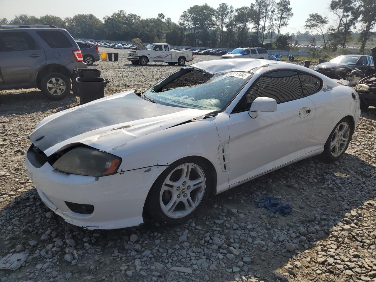 2006 Hyundai Tiburon Gt VIN: KMHHN65F56U213172 Lot: 75211144