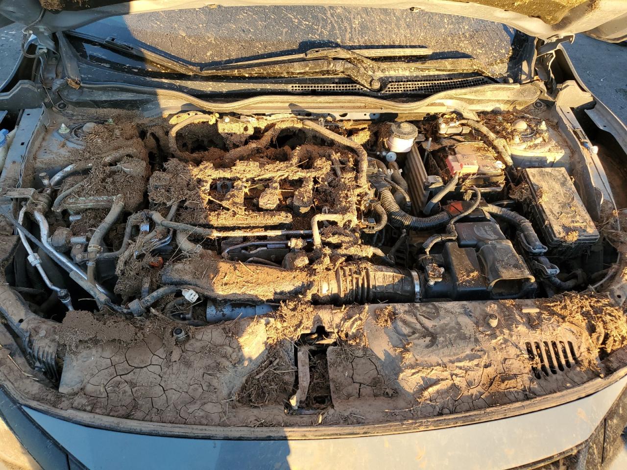 2021 Honda Civic Ex VIN: SHHFK7H65MU226577 Lot: 77446214