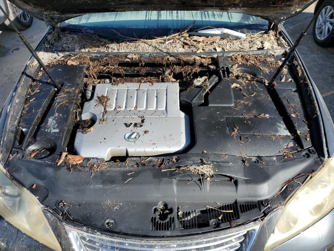 2009 Lexus Es 350 VIN: JTHBJ46G392301444 Lot: 75326474