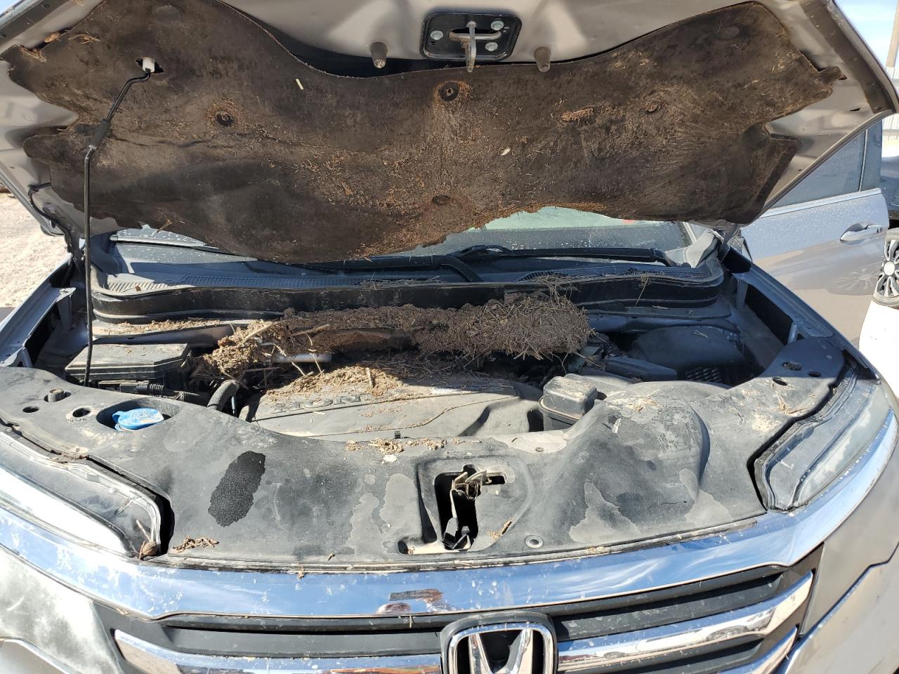 2018 Honda Pilot - Image 12