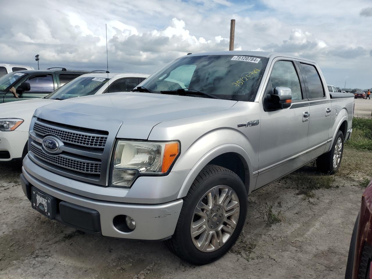 2010 Ford F-150 - Image 1