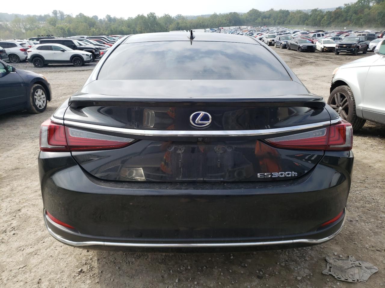 2022 Lexus Es 300H Base VIN: 58ADA1C13NU019770 Lot: 74132814