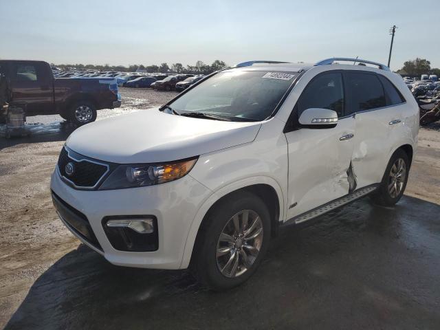 Паркетники KIA SORENTO 2013 Белы