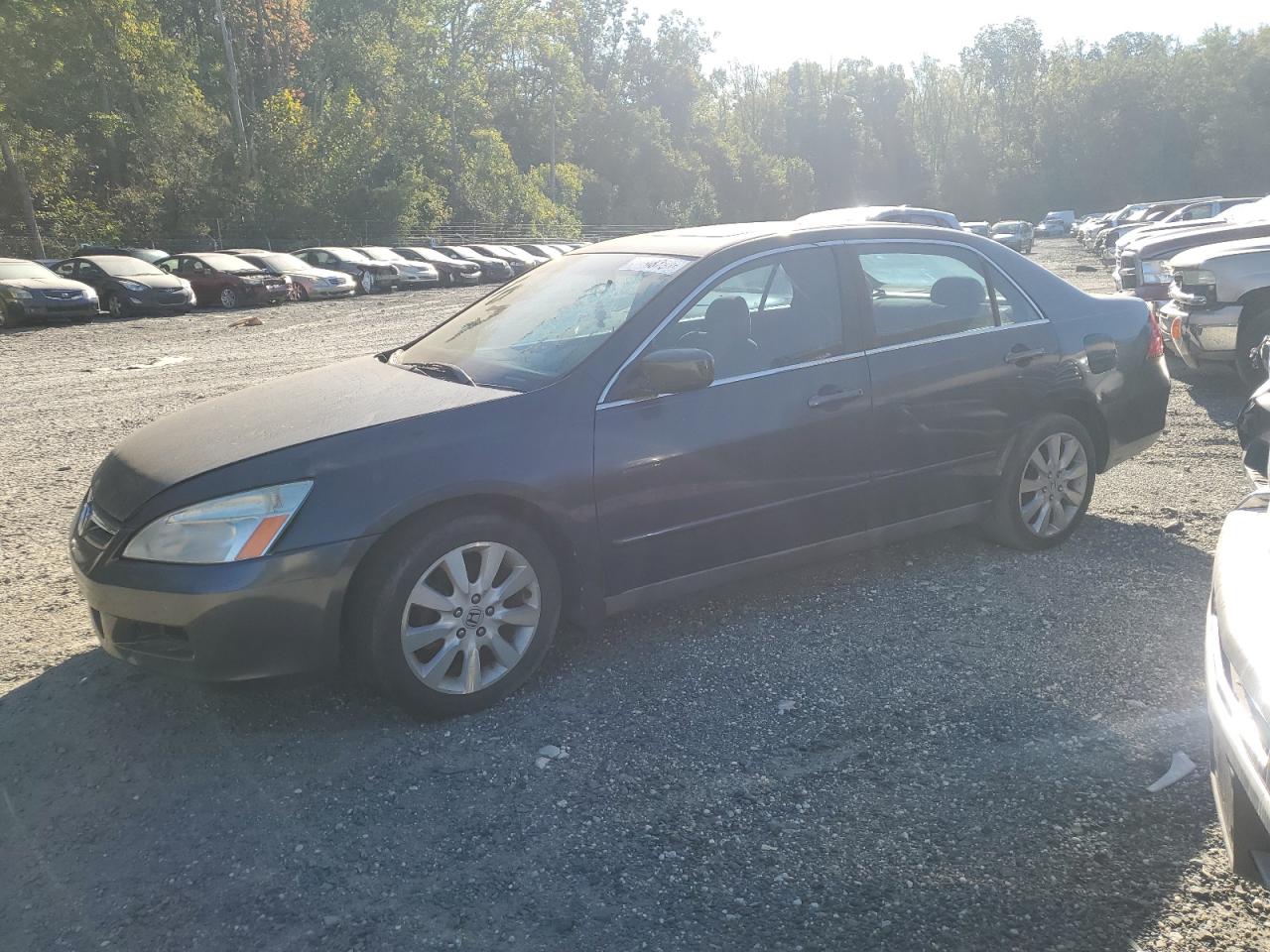 1HGCM66367A005067 2007 Honda Accord Lx