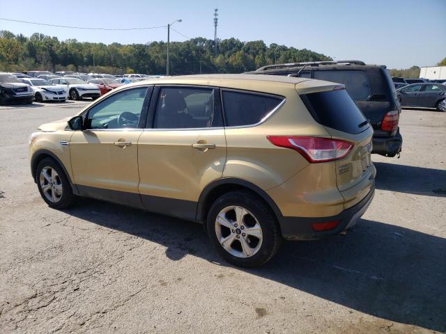  FORD ESCAPE 2014 Gold