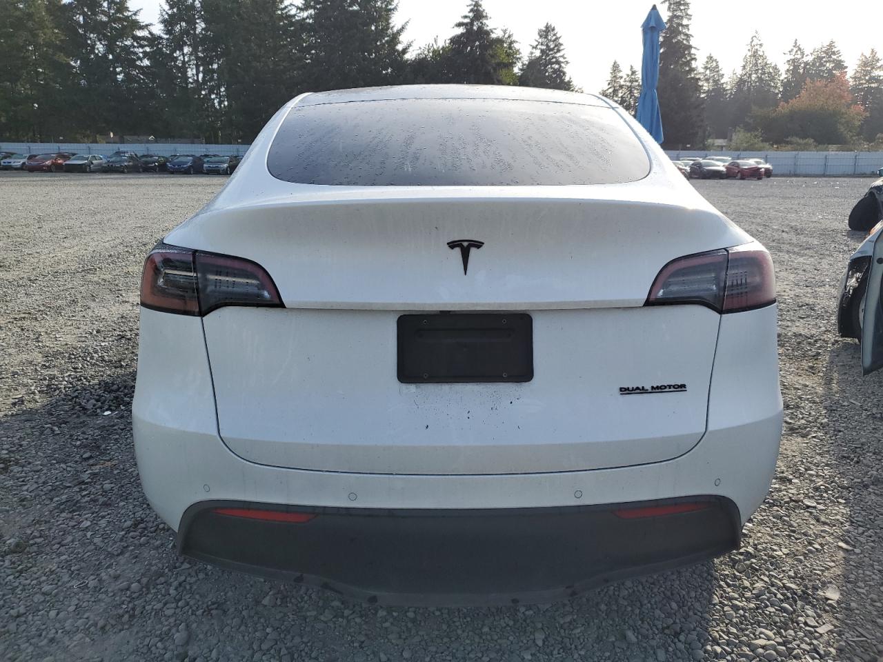 2021 Tesla Model Y VIN: 5YJYGDEE2MF213310 Lot: 73804374