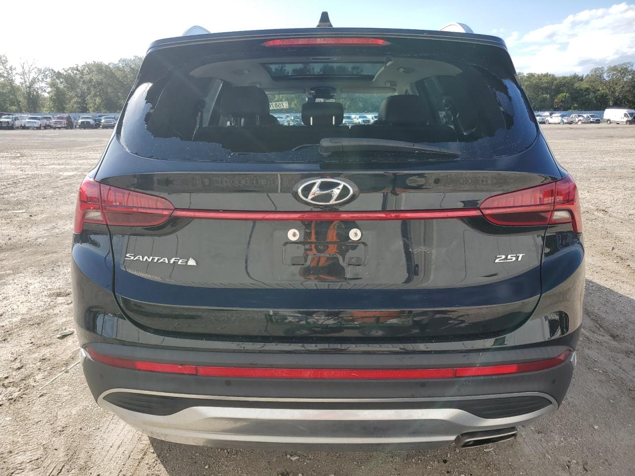 2022 Hyundai Santa Fe Limited VIN: 5NMS44ALXNH411636 Lot: 75876314