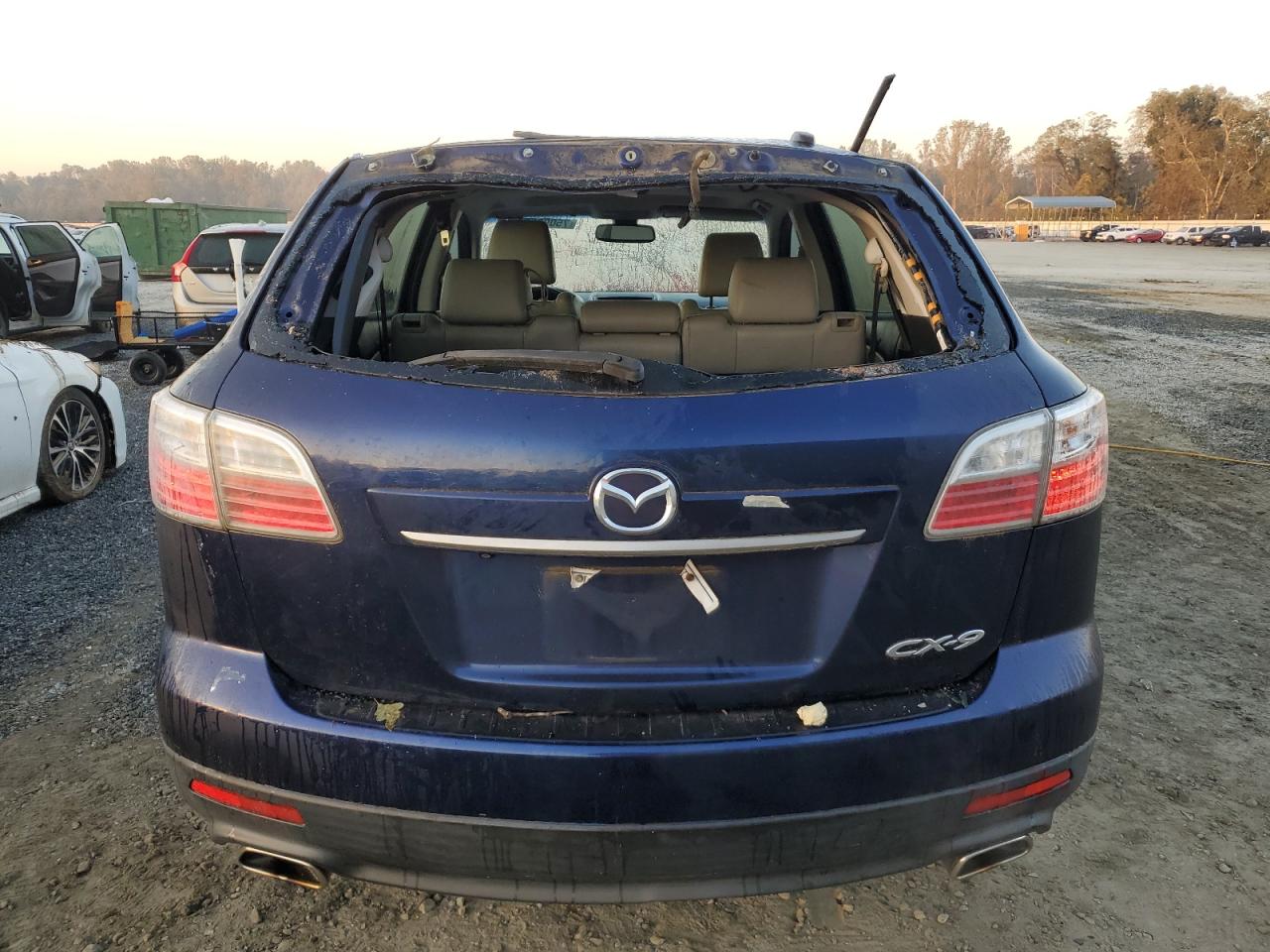 2010 Mazda Cx-9 VIN: JM3TB2MA6A0235288 Lot: 75098524