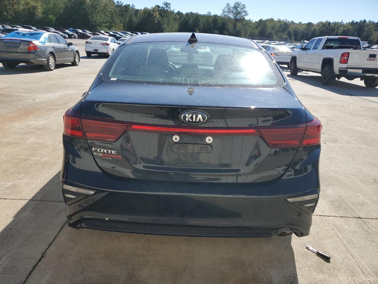 2020 Kia Forte Fe VIN: 3KPF24AD6LE202916 Lot: 76749284