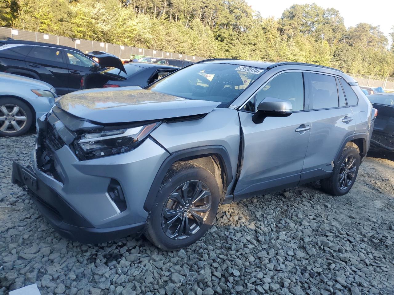 2022 Toyota RAV 4 - Image 1