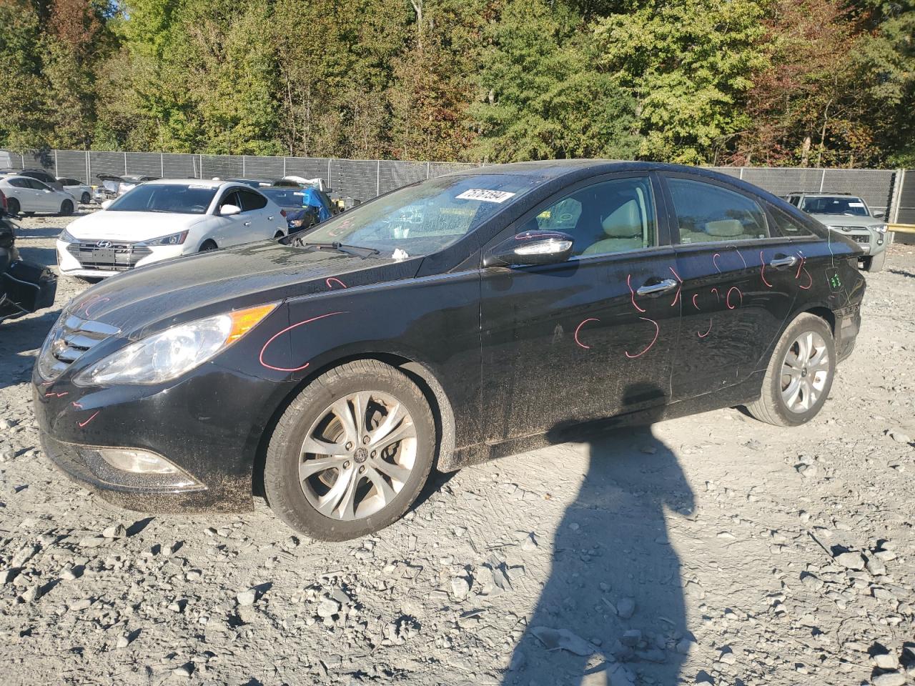 2013 Hyundai Sonata Se VIN: 5NPEC4ACXDH590357 Lot: 75894384