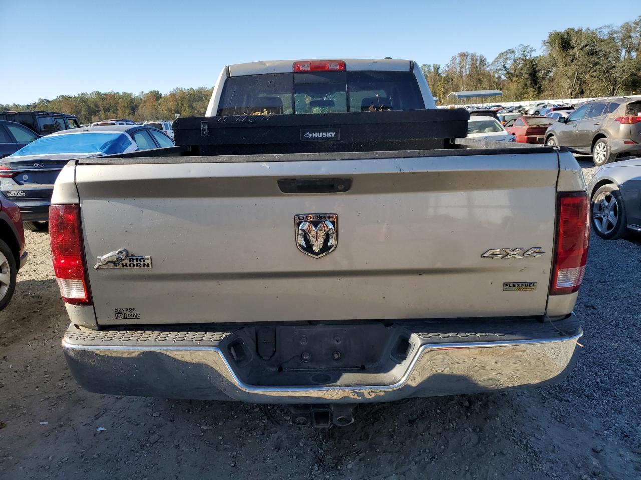 1D7RV1GP0AS207243 2010 Dodge Ram 1500