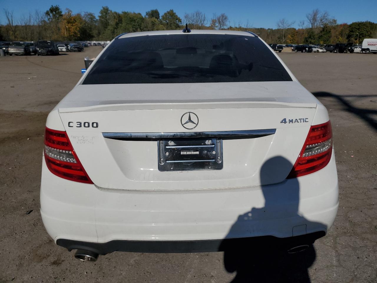 2013 Mercedes-Benz C 300 4Matic VIN: WDDGF8AB4DR248285 Lot: 76779544