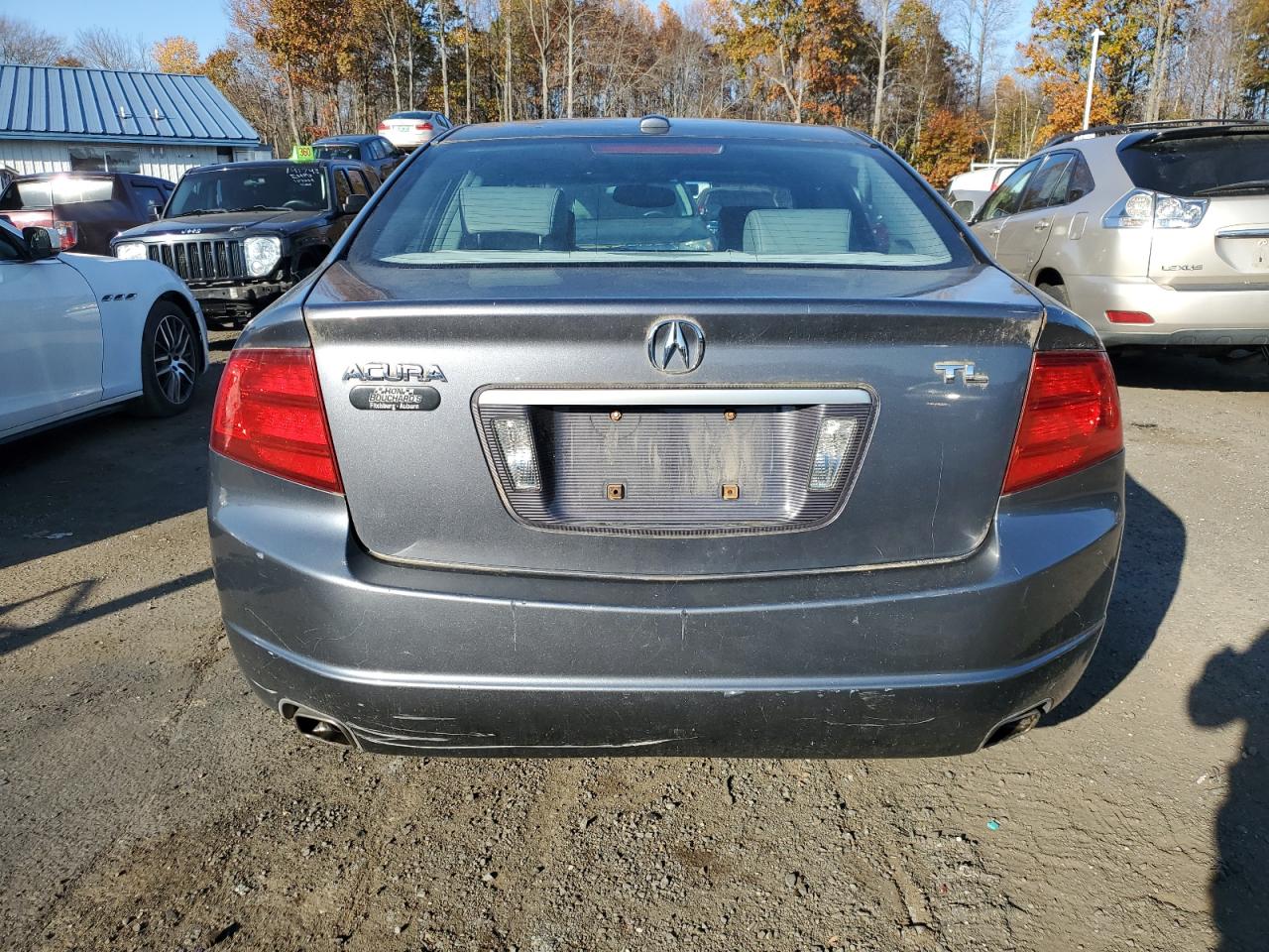 2006 Acura 3.2Tl VIN: 19UUA66286A058002 Lot: 78300904