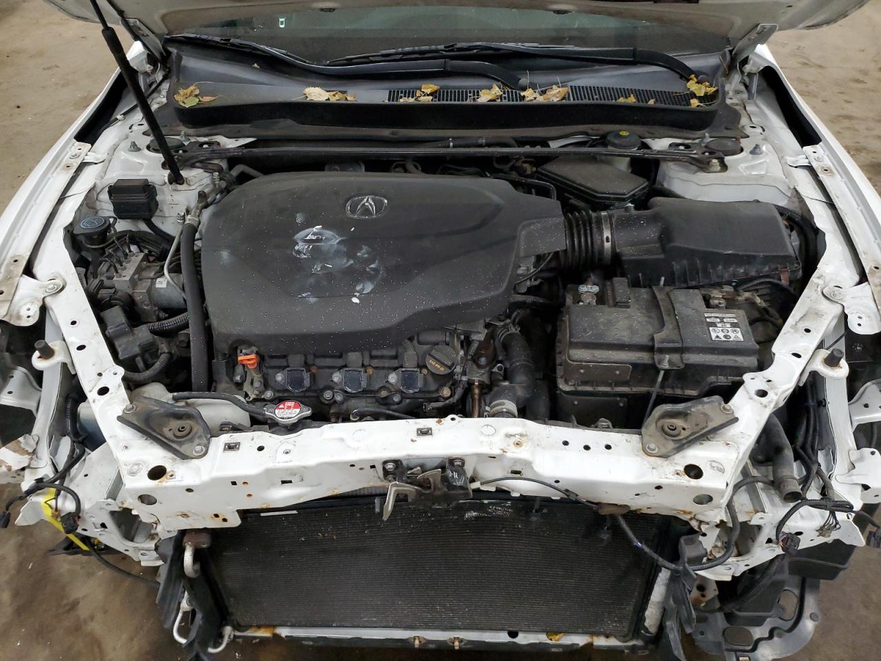 19UUB3F5XFA003038 2015 Acura Tlx Tech