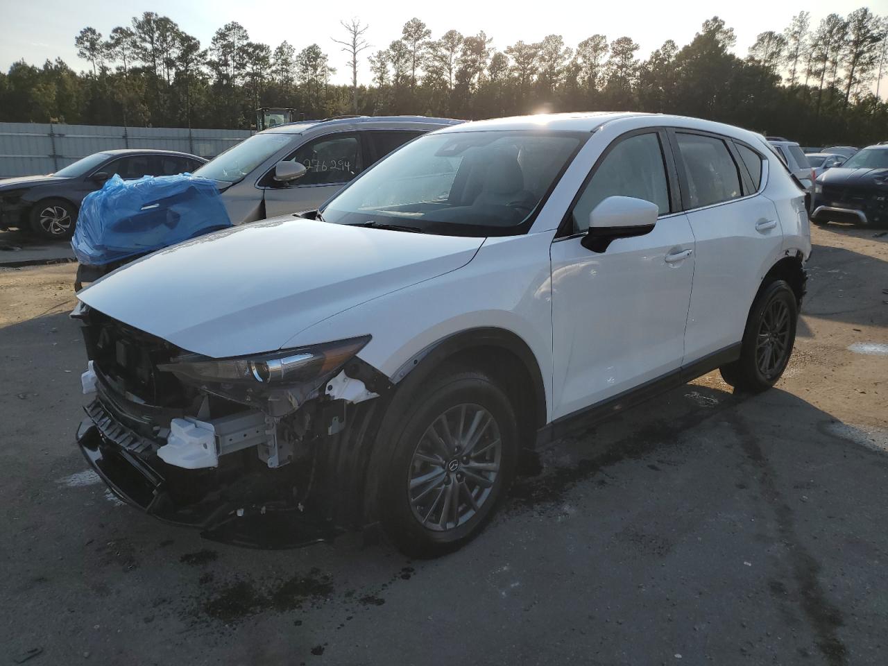 2019 Mazda Cx-5 Touring VIN: JM3KFACM1K1511569 Lot: 75415104