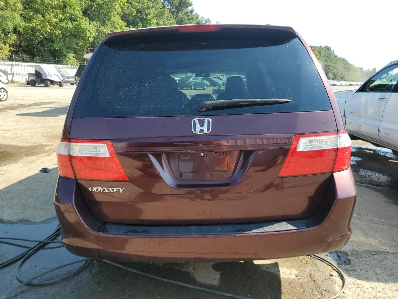 2007 Honda Odyssey Exl VIN: 5FNRL386X7B437914 Lot: 75544664