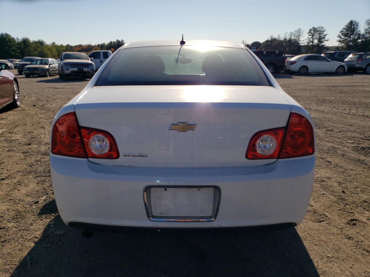 2010 Chevrolet Malibu 1Lt VIN: 1G1ZC5EB6A4149182 Lot: 75436954