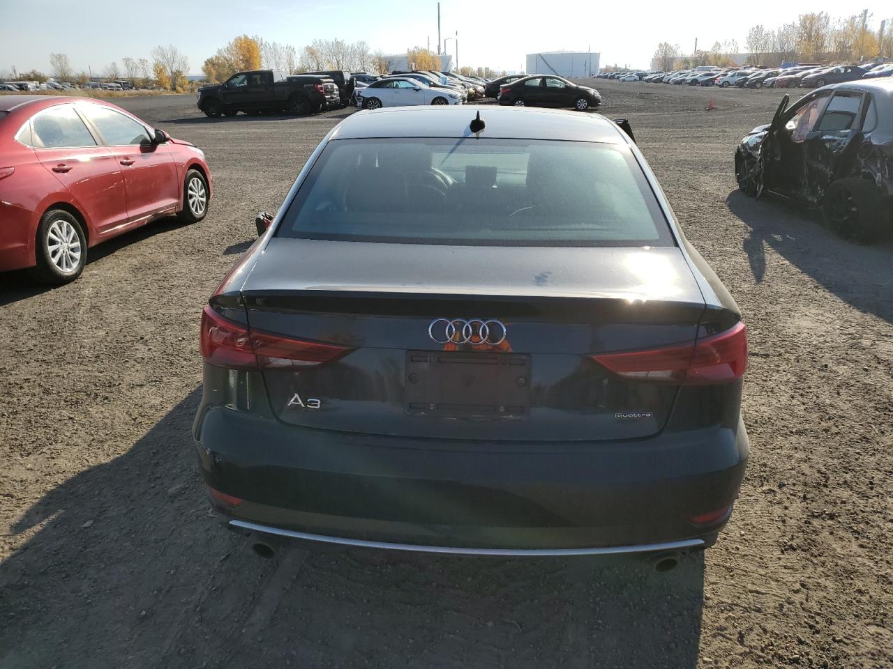 2019 Audi A3 Premium VIN: WAUBEGFF0K1023982 Lot: 77011664