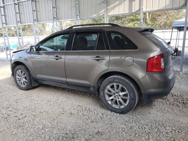  FORD EDGE 2013 Колір засмаги