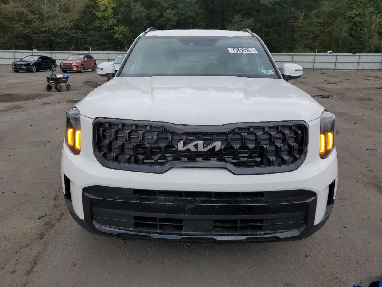 5XYP3DGCXRG423561 2024 Kia Telluride Ex