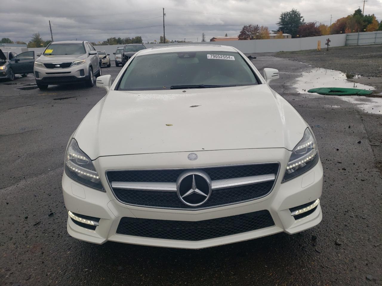 2013 Mercedes-Benz CLS-klasse - Image 5