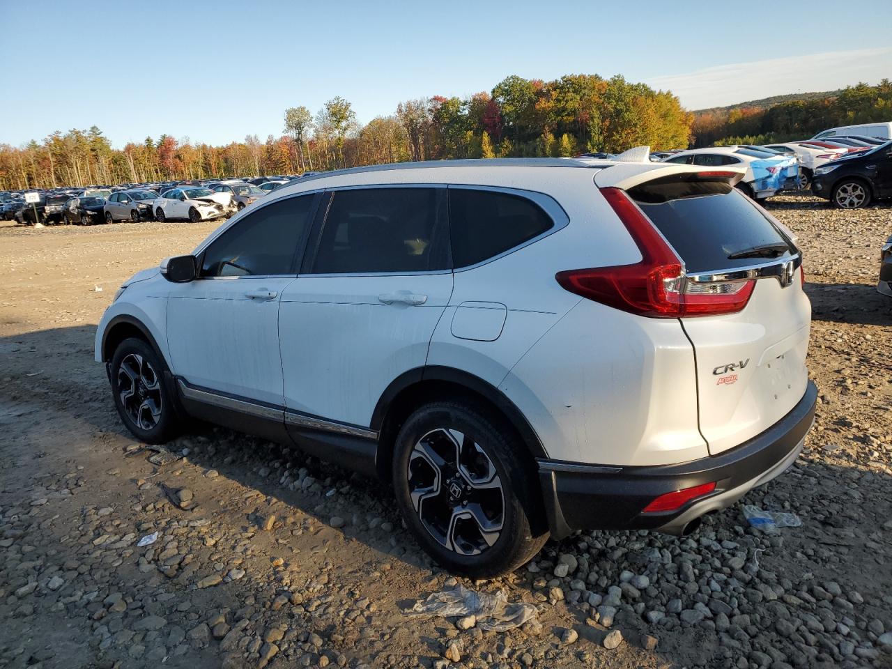 2019 Honda CR-V - Image 2