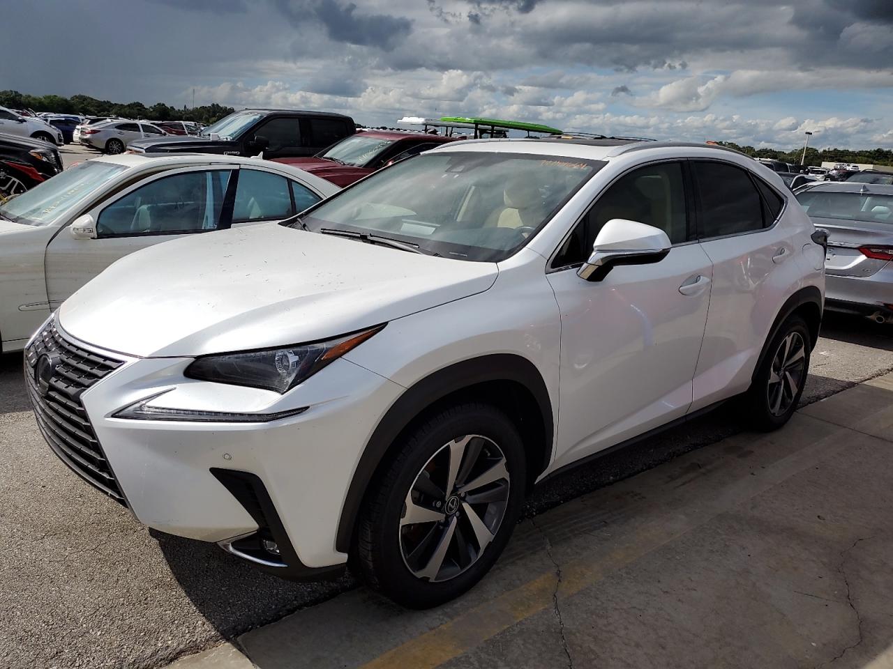 JTJGARDZ5L5016966 2020 LEXUS NX - Image 1