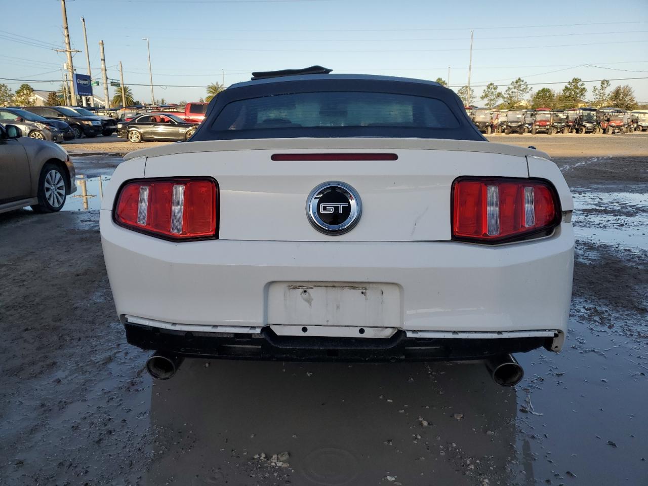 2010 Ford Mustang Gt VIN: 1ZVBP8FH9A5135608 Lot: 78577654