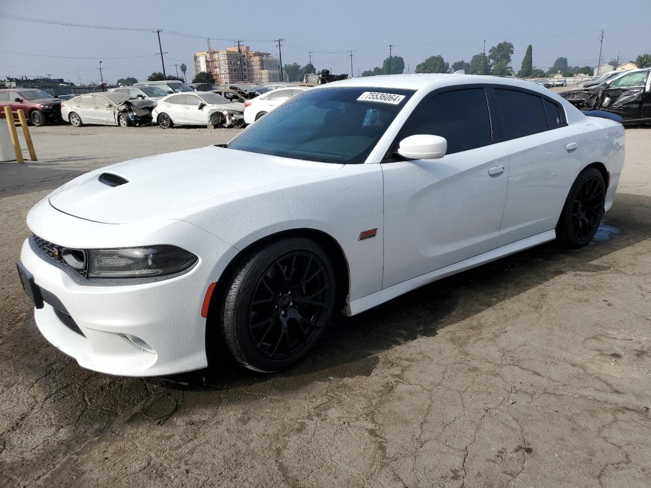 2C3CDXGJ6LH174992 2020 DODGE CHARGER - Image 1