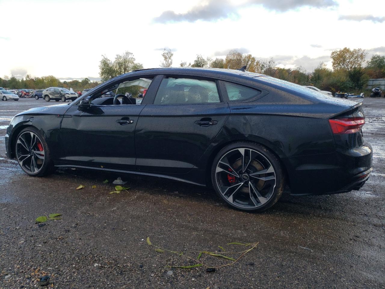 2024 Audi RS5 - Image 2