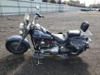 2003 Harley-Davidson Flstfi  for Sale in New Britain, CT - Front End