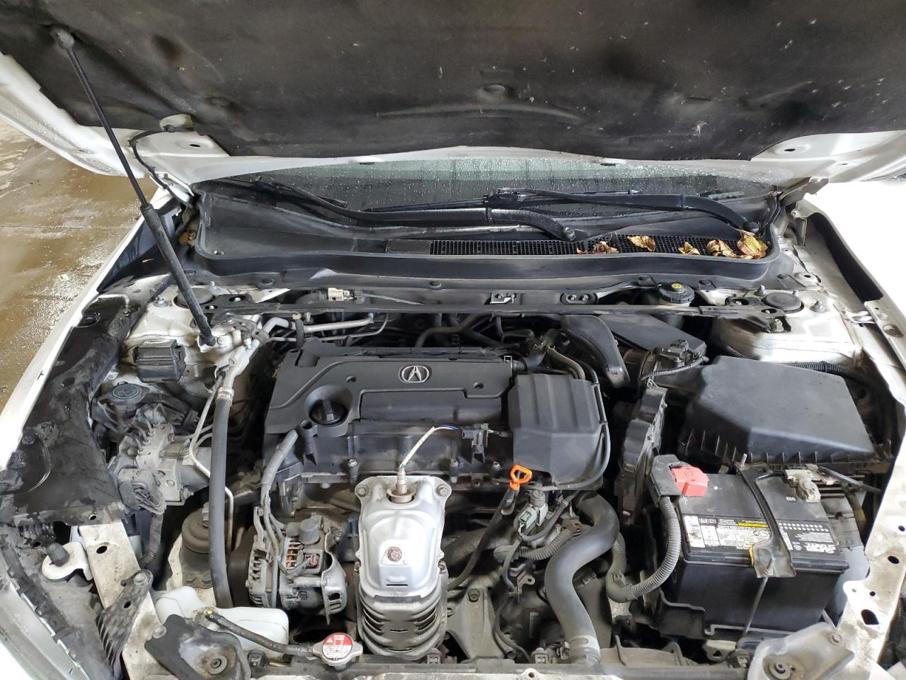 2017 Acura TLX - Image 11