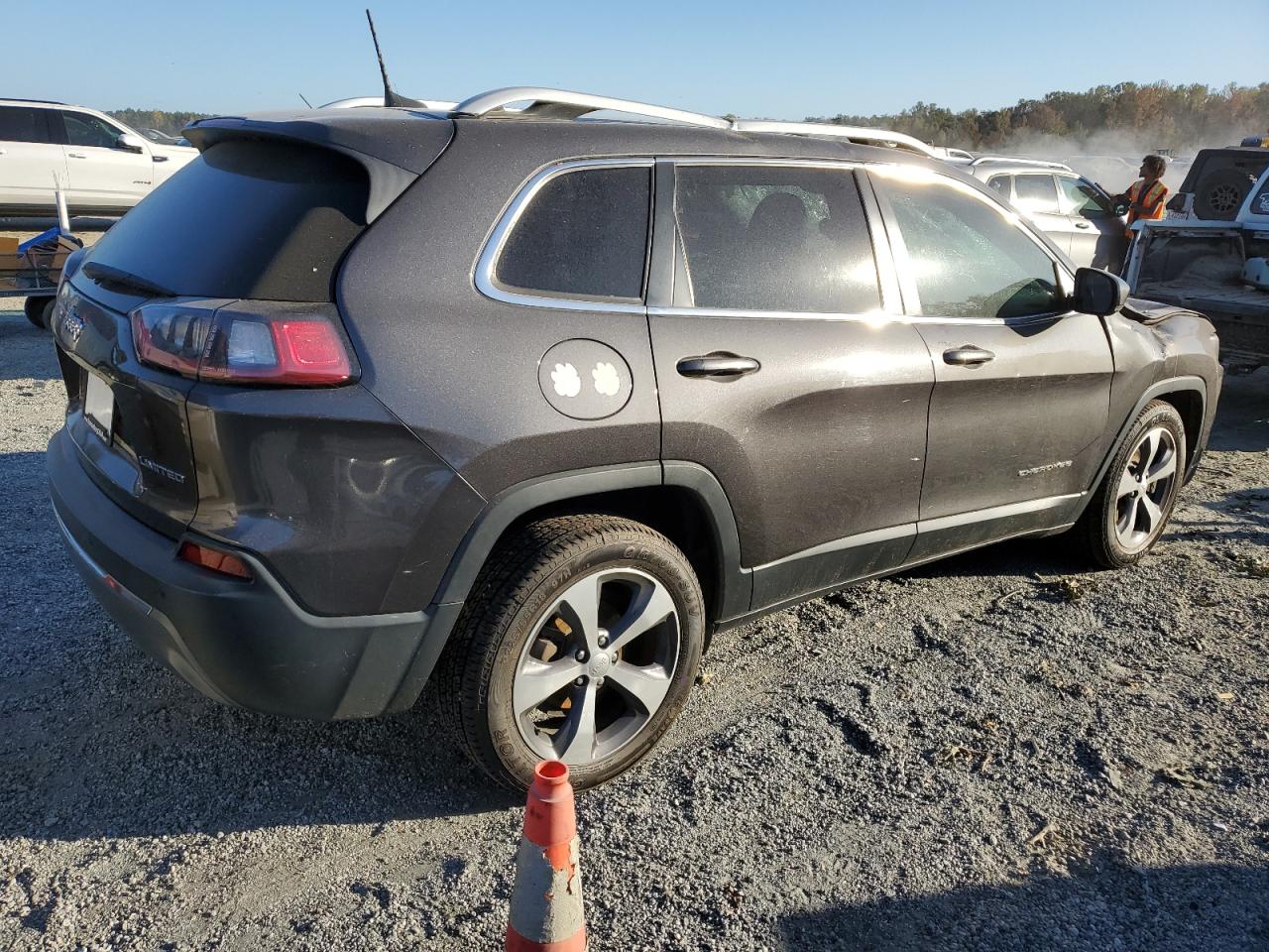 2019 Jeep Cherokee Limited VIN: 1C4PJLDB5KD396009 Lot: 77232754