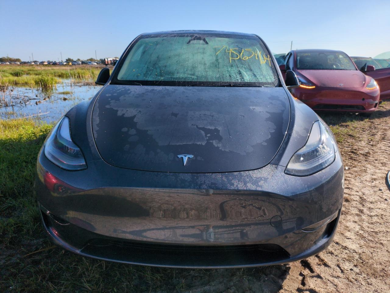 2023 Tesla Model Y VIN: 7SAYGDEE4PA192254 Lot: 74565464