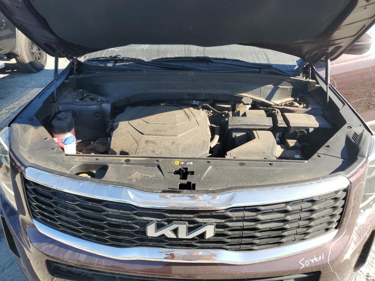 2022 Kia Telluride Lx VIN: 5XYP24HC4NG315531 Lot: 75648754