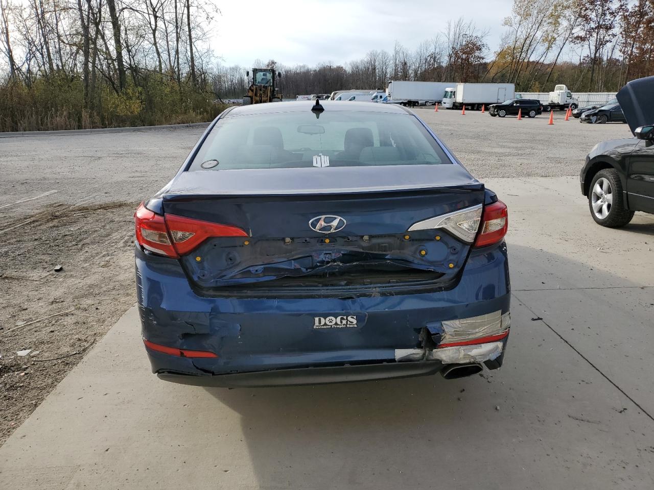 2016 Hyundai Sonata Se VIN: 5NPE24AF9GH295705 Lot: 78536544