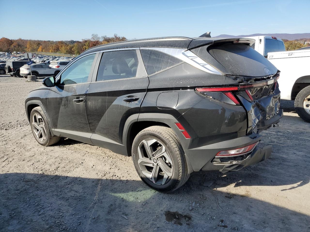 2024 Hyundai Tucson Sel VIN: 5NMJFCDE8RH351830 Lot: 78160174