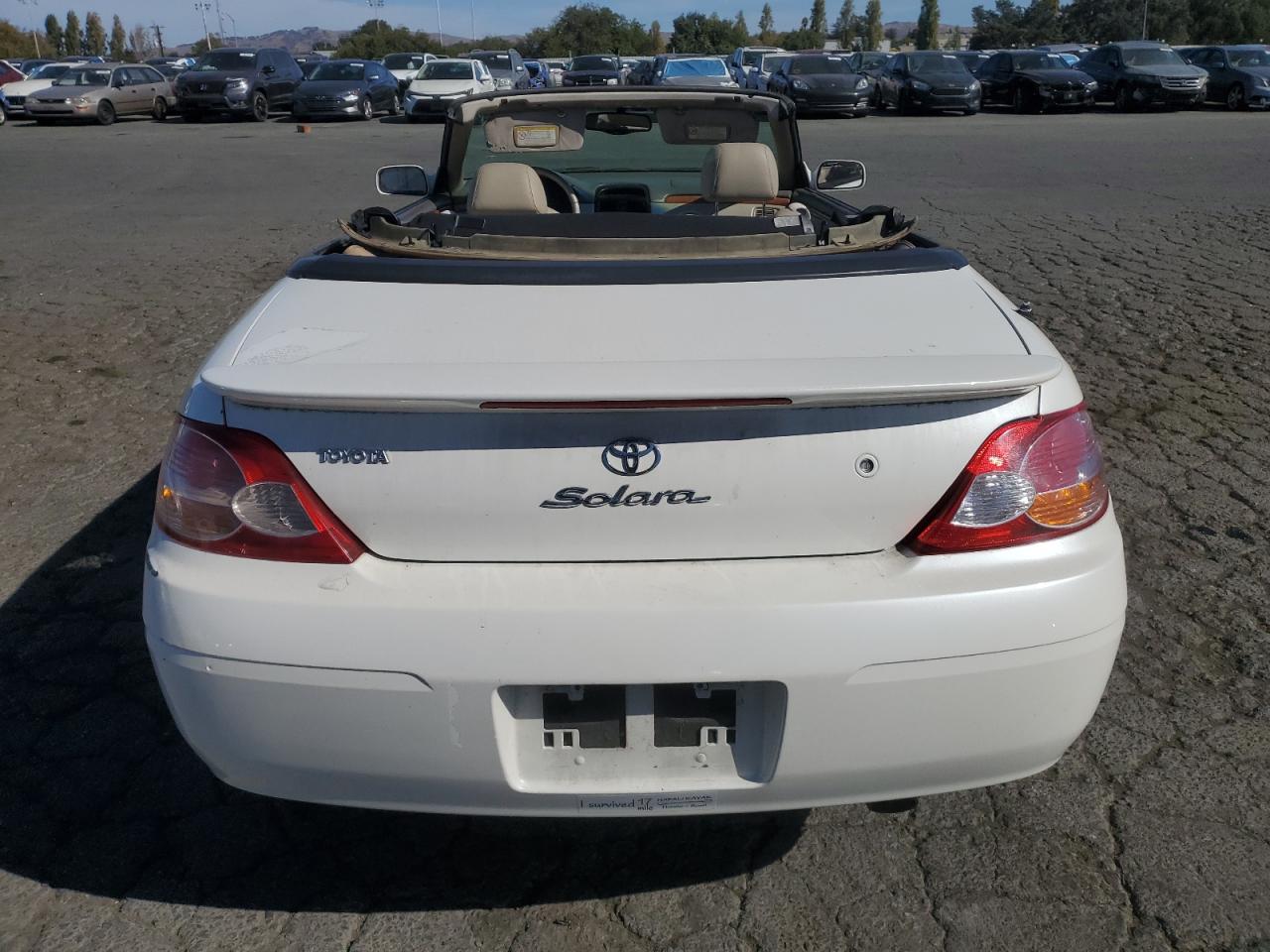 2002 Toyota Camry Solara Se VIN: 2T1FF28P42C567794 Lot: 77245334