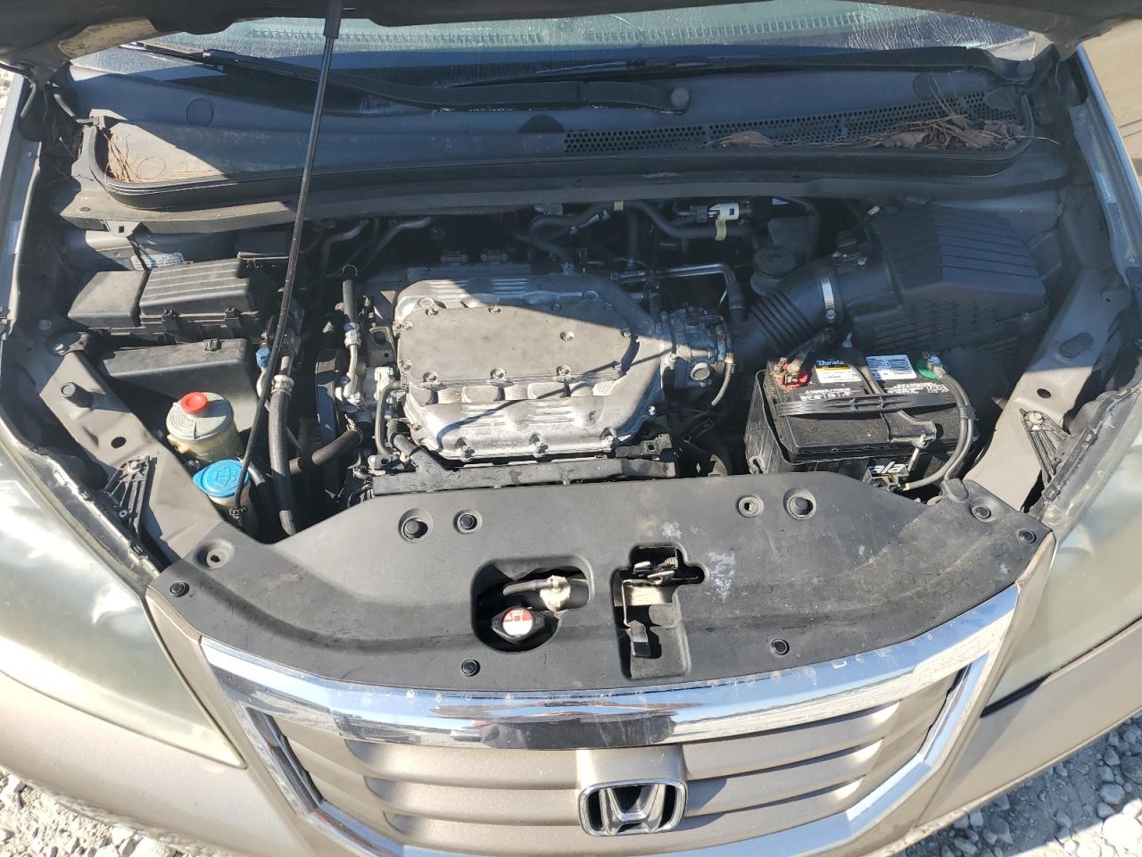 2010 Honda Odyssey Exl VIN: 5FNRL3H68AB003904 Lot: 74784594